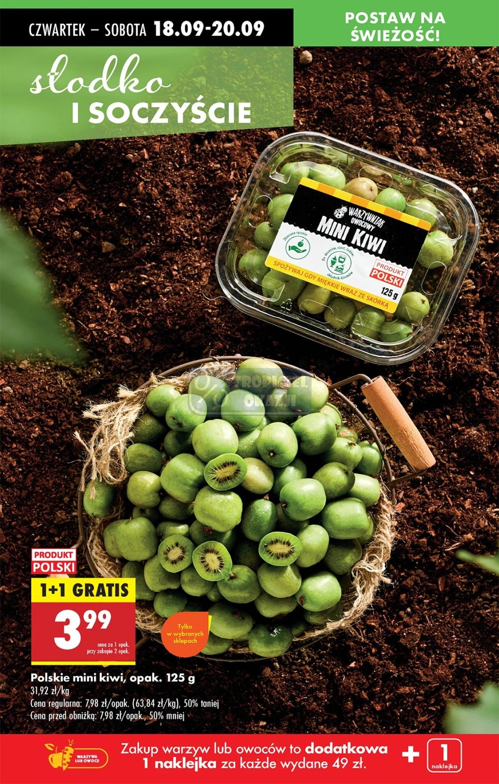 Gazetka promocyjna Biedronka str. 18