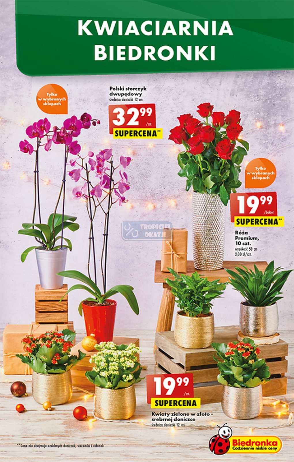 Gazetka promocyjna Biedronka str. 13