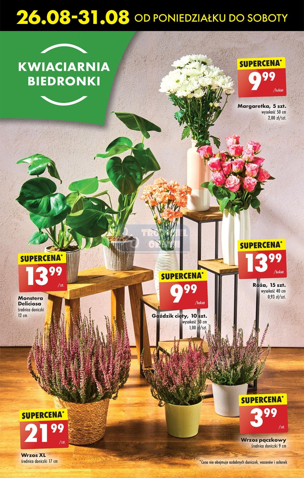 Gazetka promocyjna Biedronka str. 58