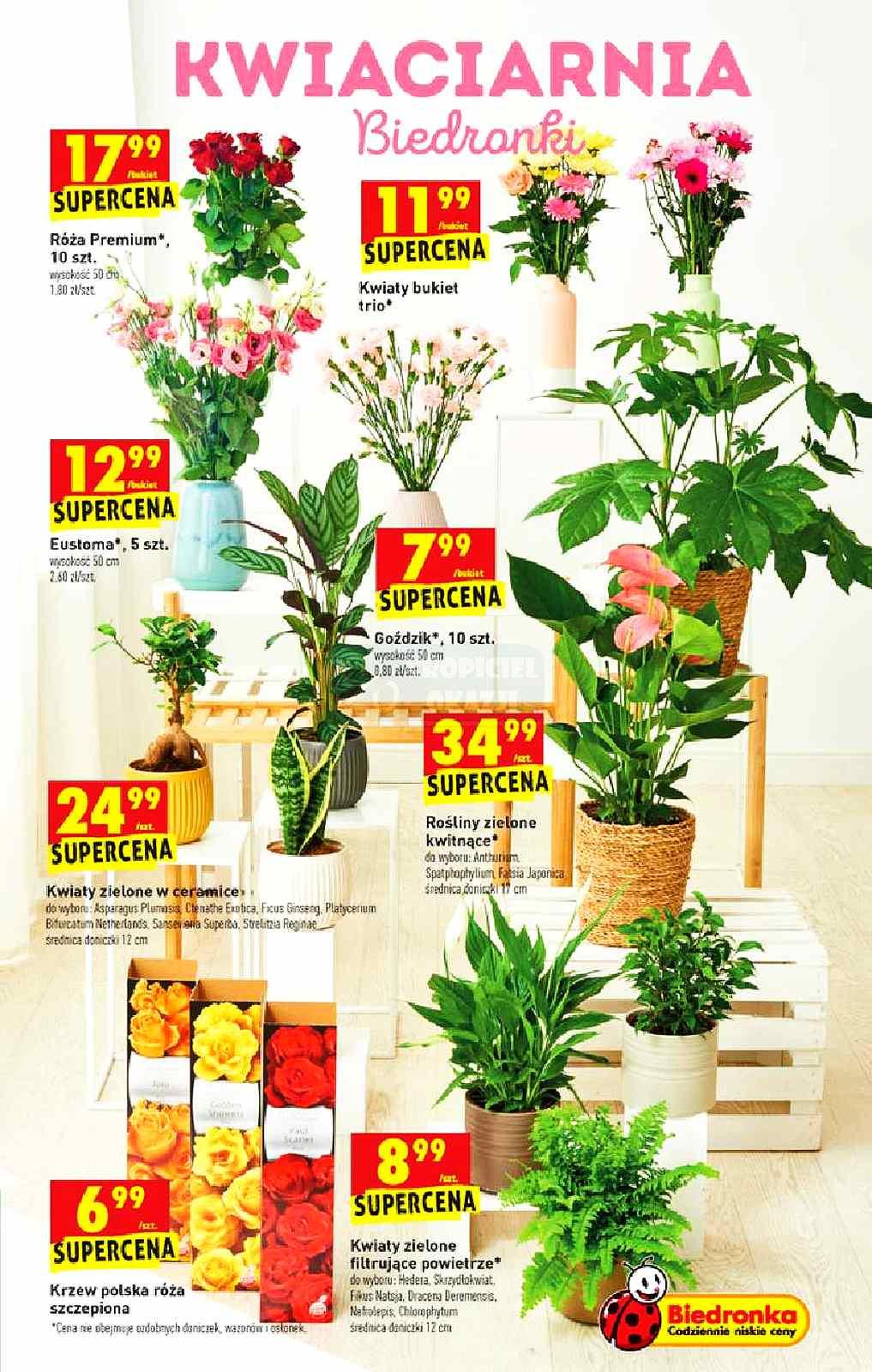 Gazetka promocyjna Biedronka str. 15