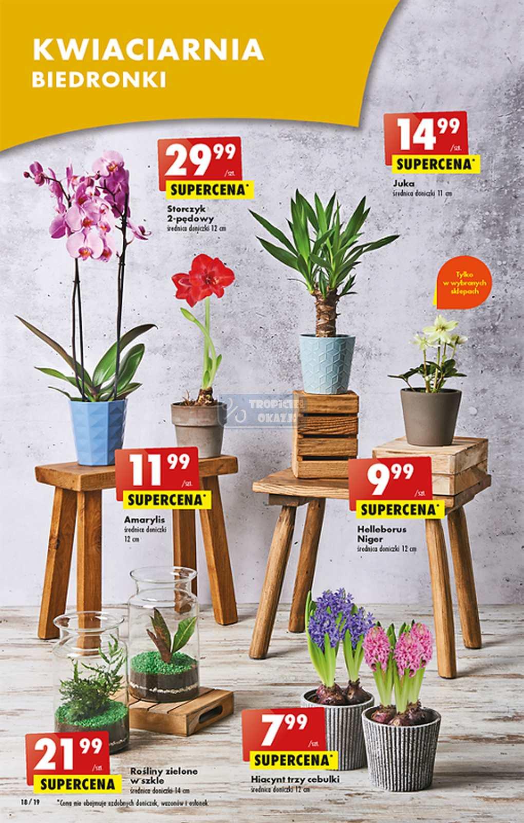 Gazetka promocyjna Biedronka str. 18