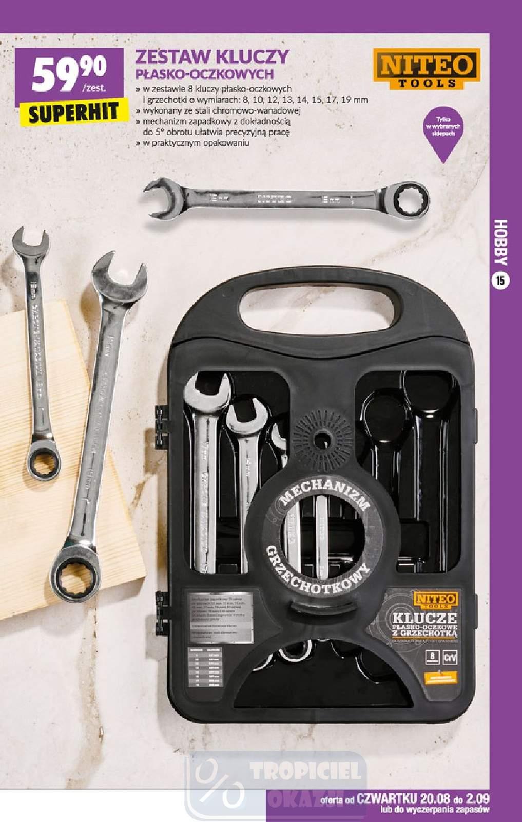 Gazetka promocyjna Biedronka str. 15