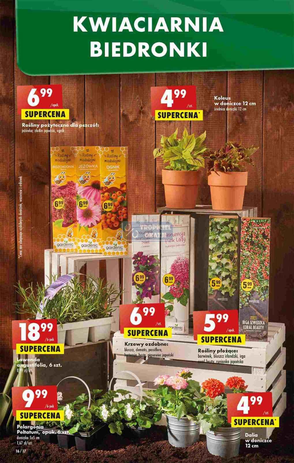 Gazetka promocyjna Biedronka str. 16