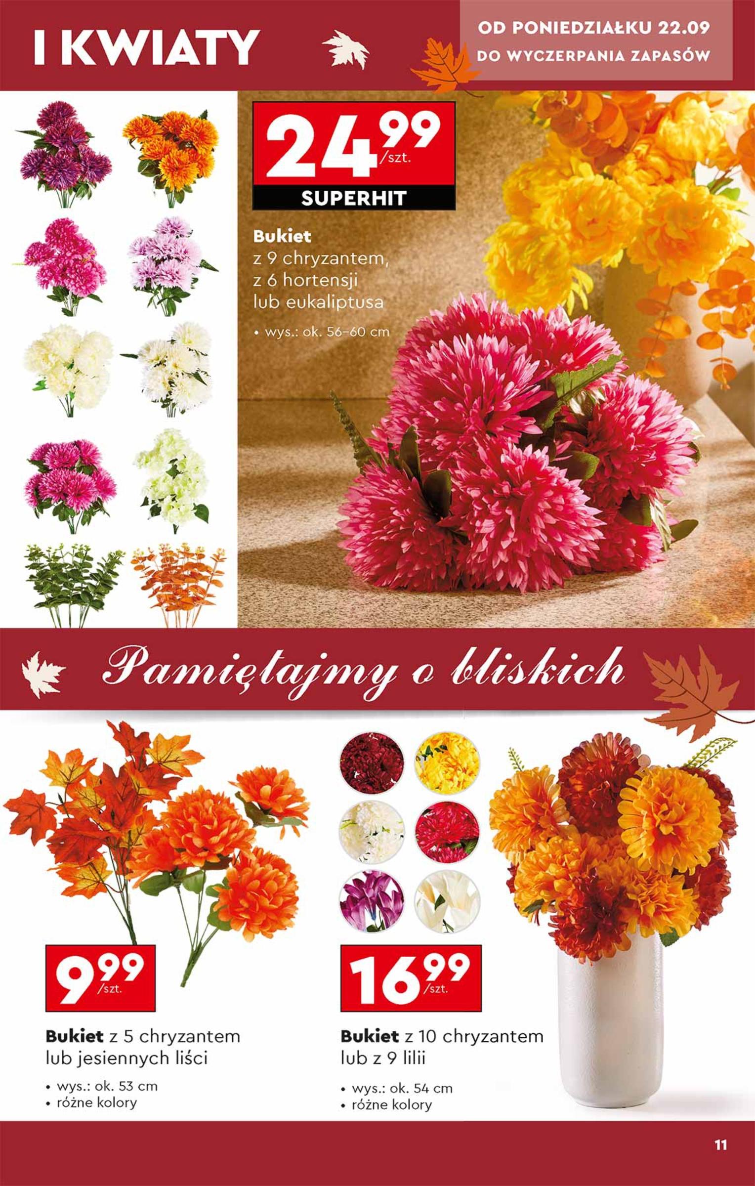 Gazetka promocyjna Biedronka str. 11