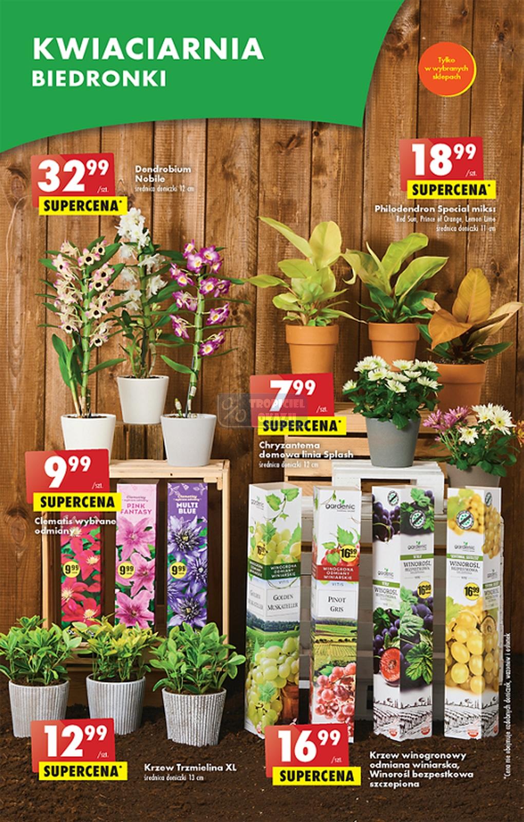 Gazetka promocyjna Biedronka str. 50