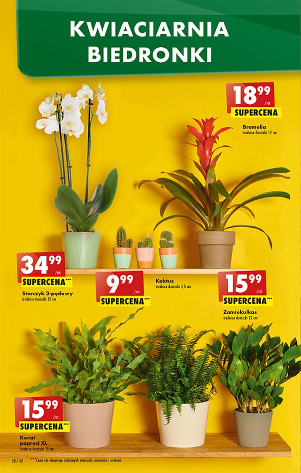 Gazetka promocyjna Biedronka str. 12