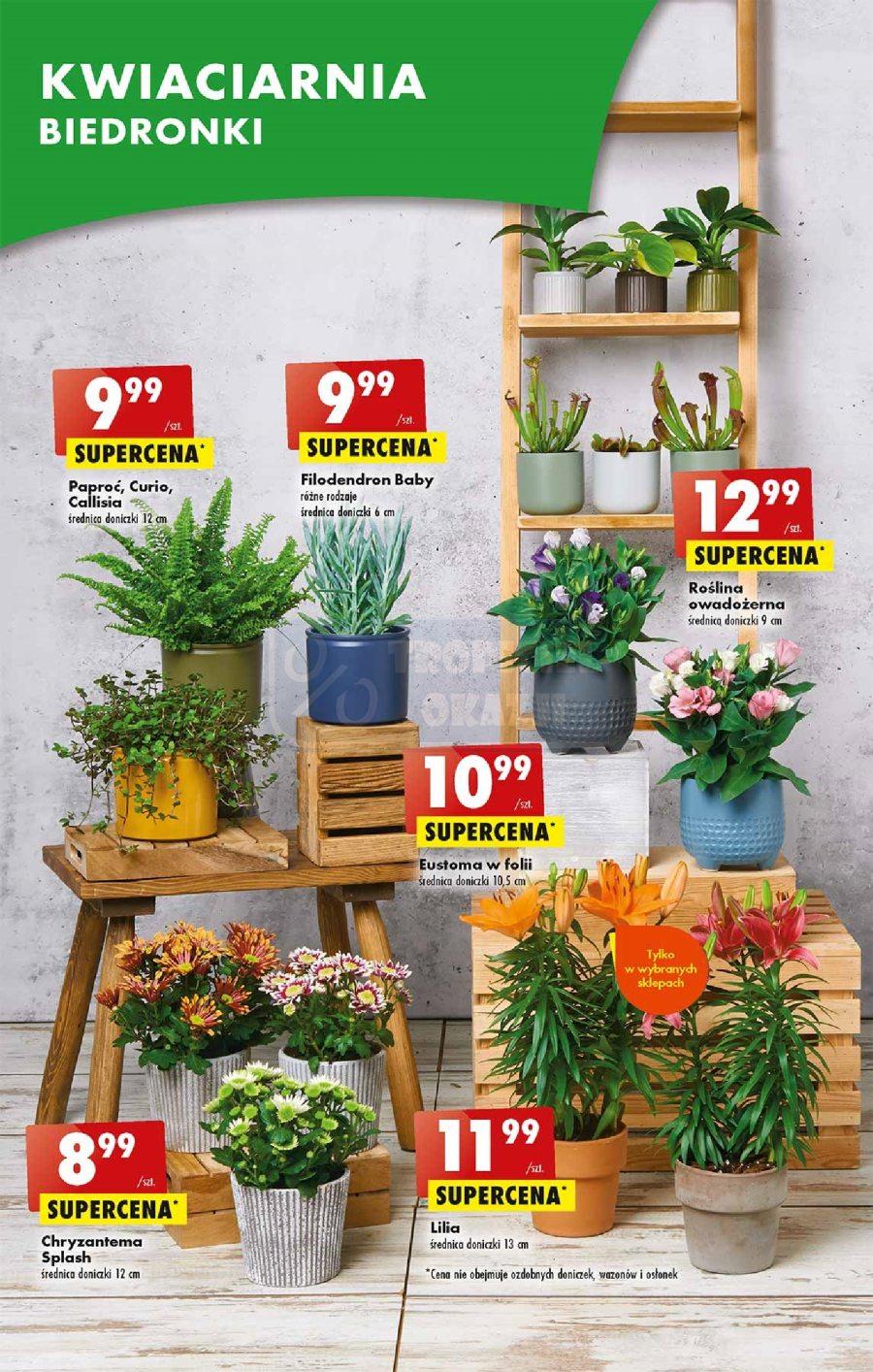 Gazetka promocyjna Biedronka str. 52