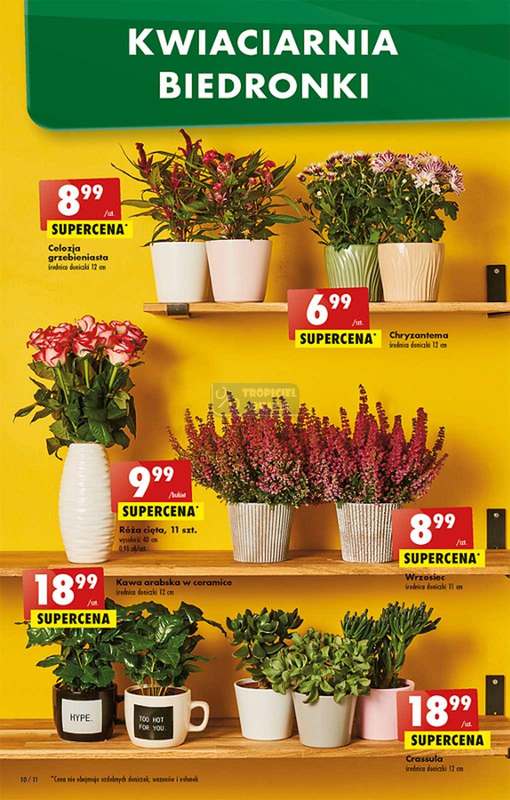 Gazetka promocyjna Biedronka str. 10