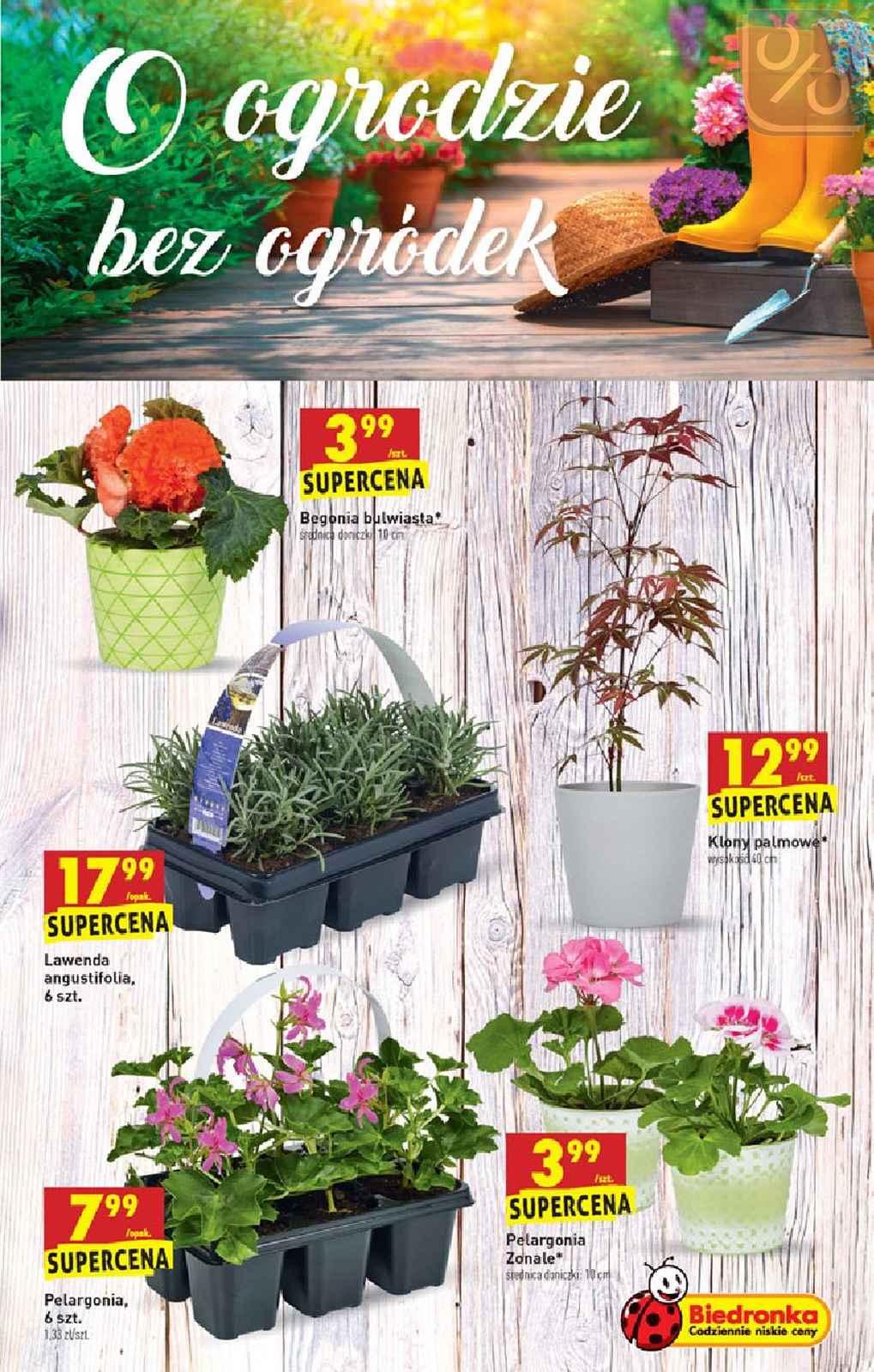 Gazetka promocyjna Biedronka str. 47