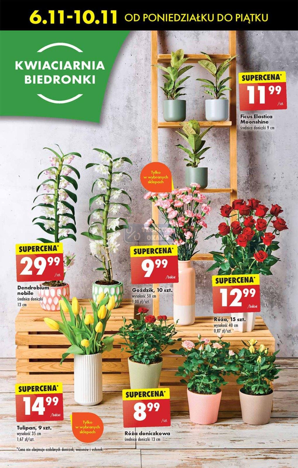 Gazetka promocyjna Biedronka str. 21