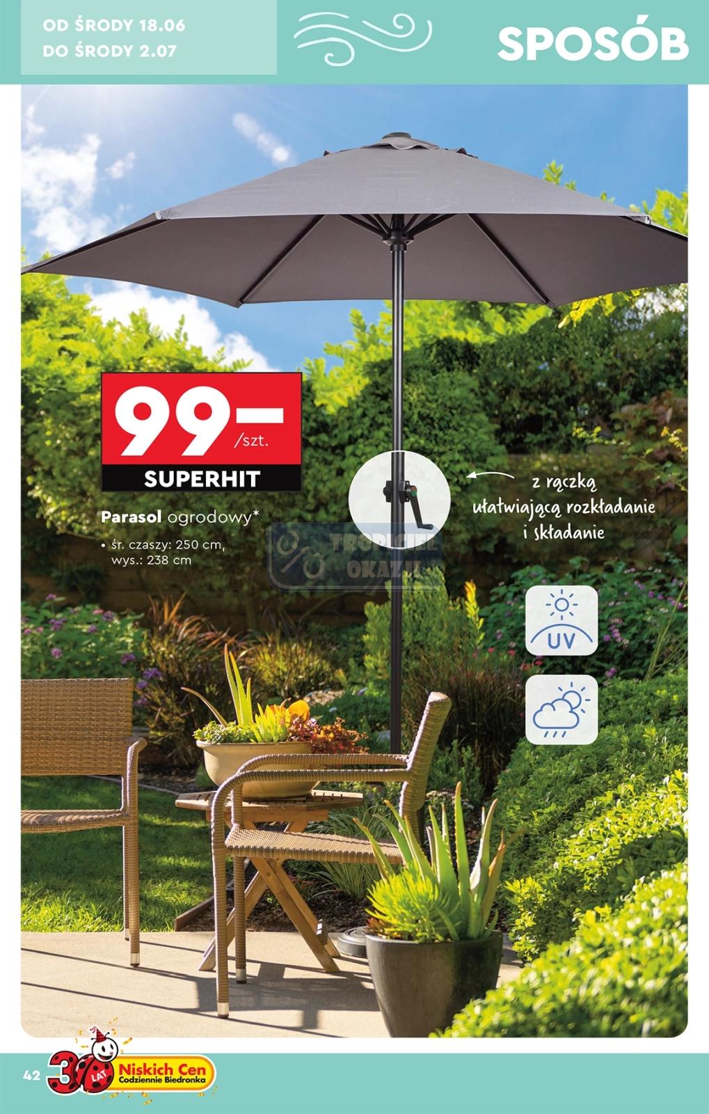 Gazetka promocyjna Biedronka str. 42