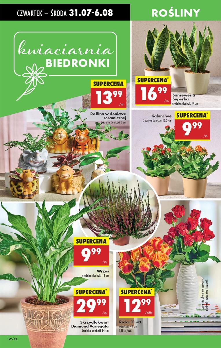 Gazetka promocyjna Biedronka str. 22