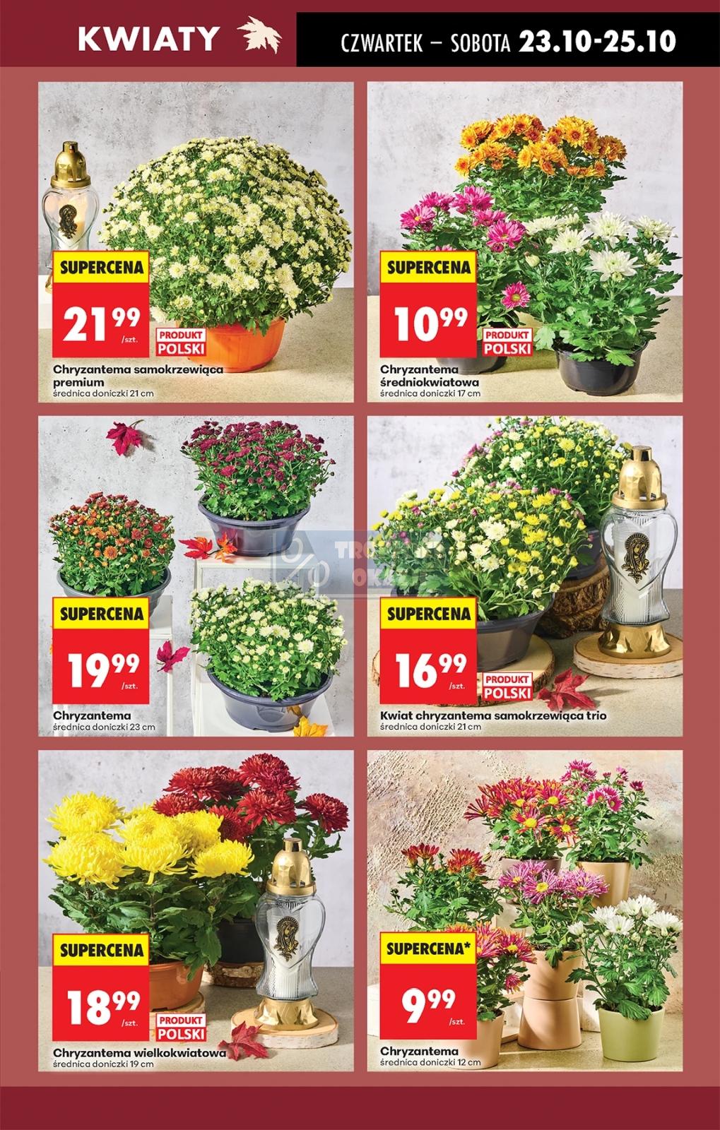 Gazetka promocyjna Biedronka str. 18