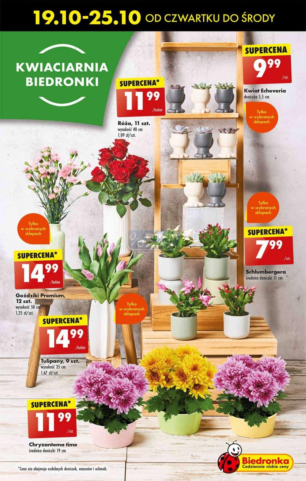 Gazetka promocyjna Biedronka str. 55