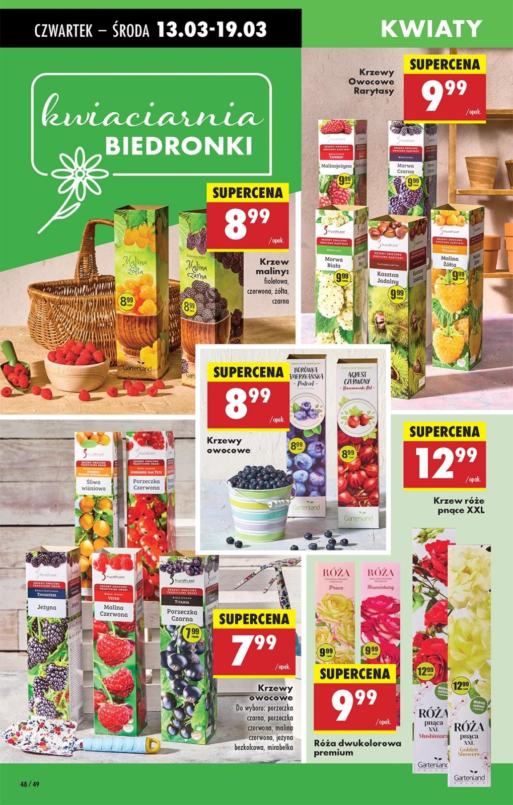 Gazetka promocyjna Biedronka str. 48