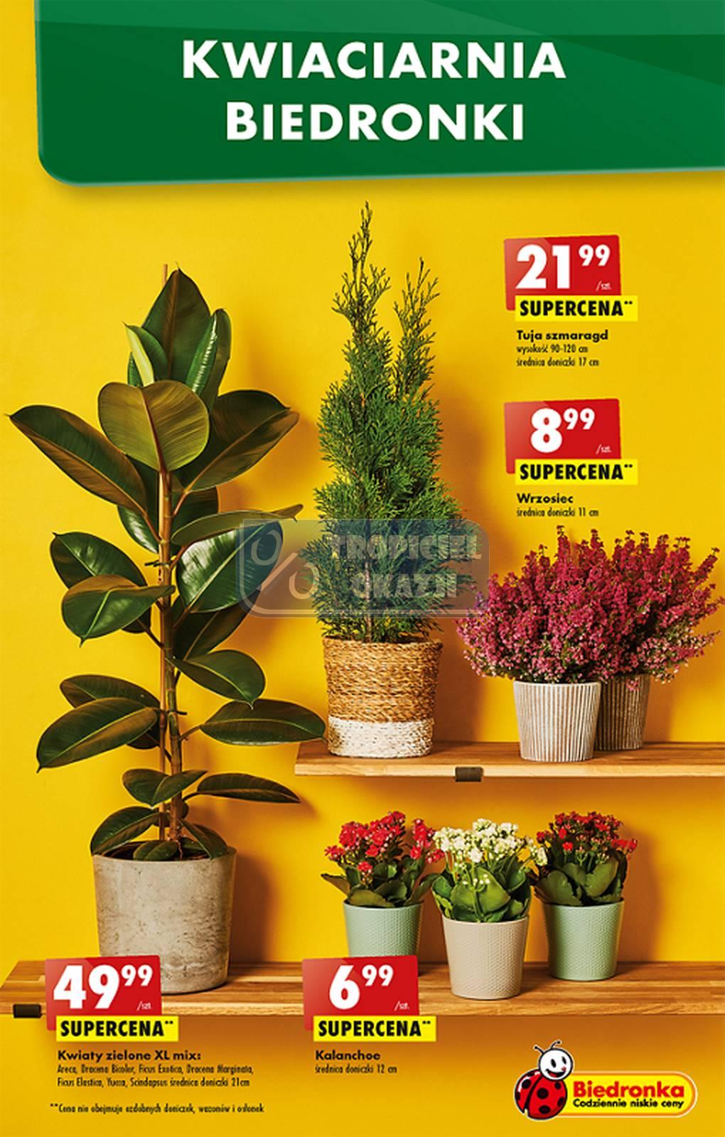 Gazetka promocyjna Biedronka str. 13