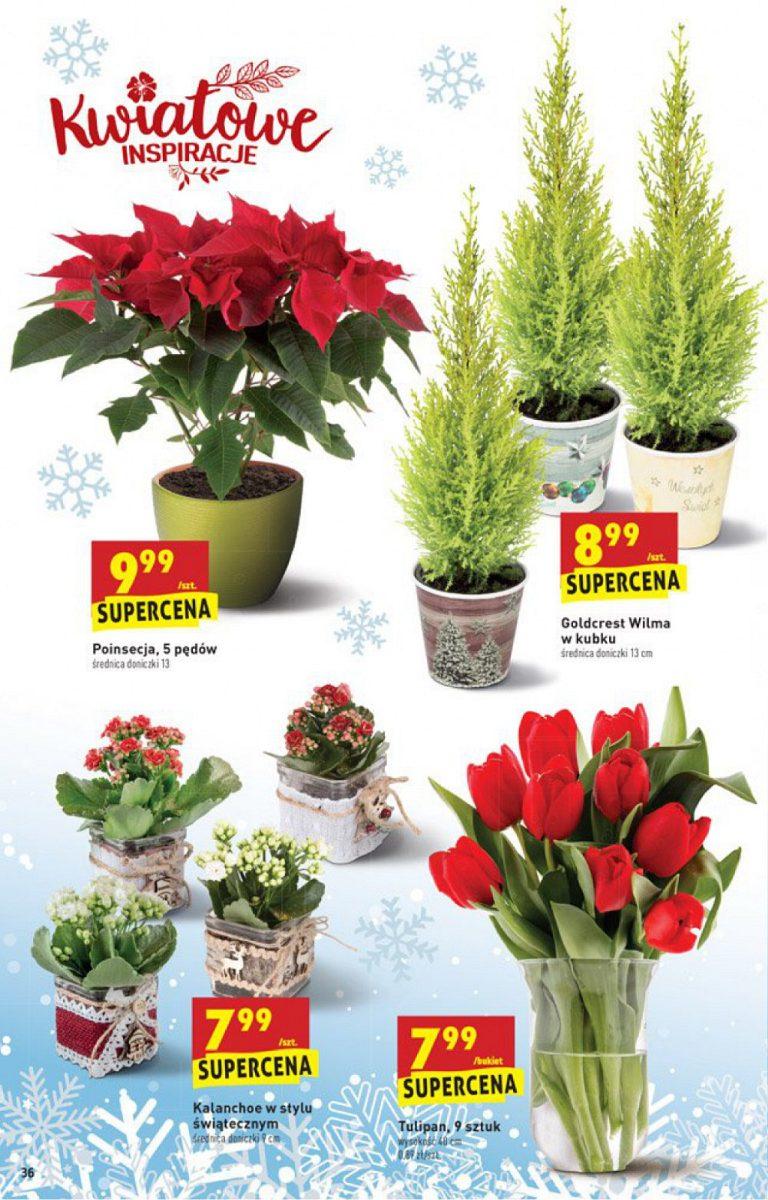 Gazetka promocyjna Biedronka str. 36