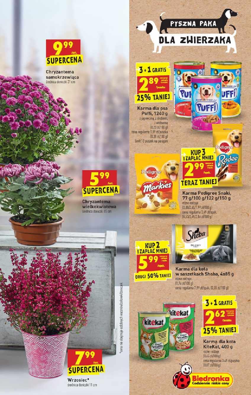 Gazetka promocyjna Biedronka str. 55