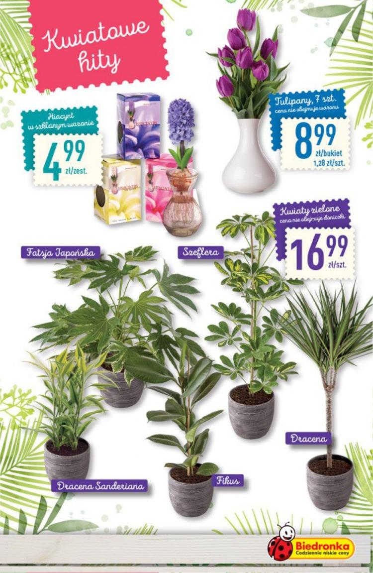 Gazetka promocyjna Biedronka str. 9