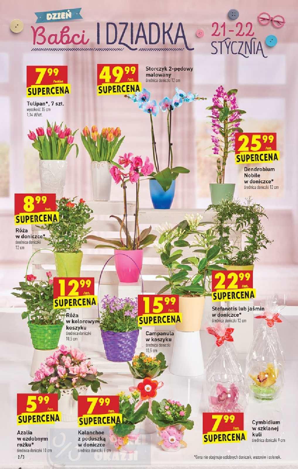 Gazetka promocyjna Biedronka str. 2