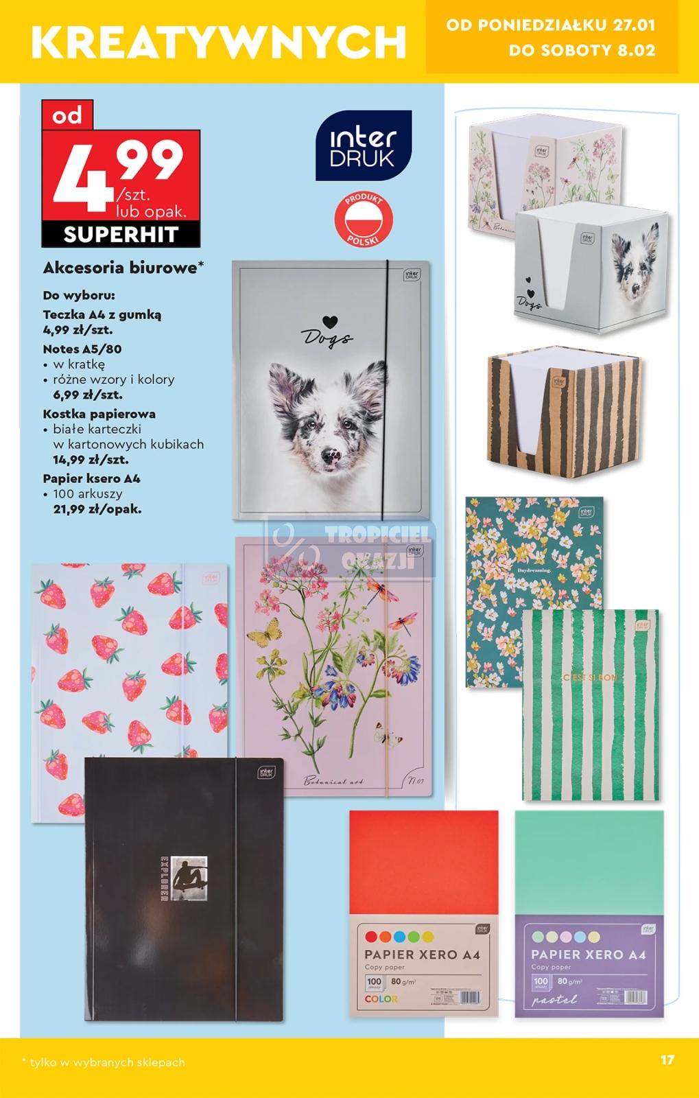 Gazetka promocyjna Biedronka str. 17