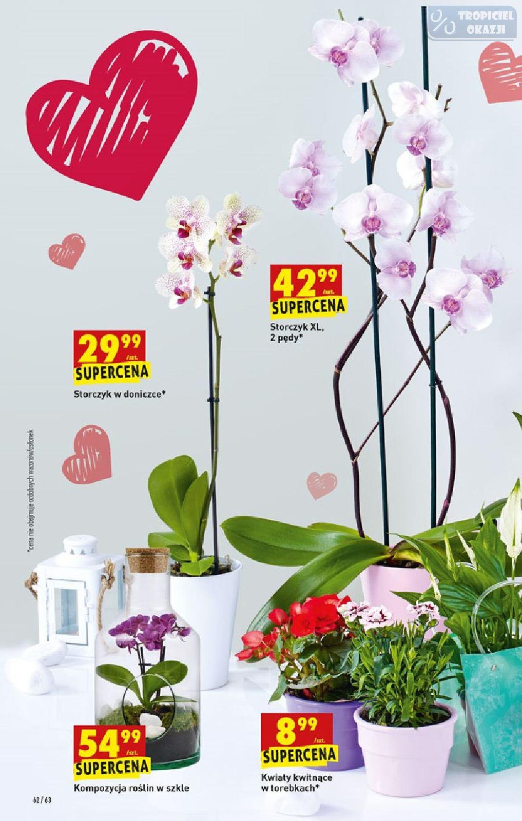 Gazetka promocyjna Biedronka str. 62