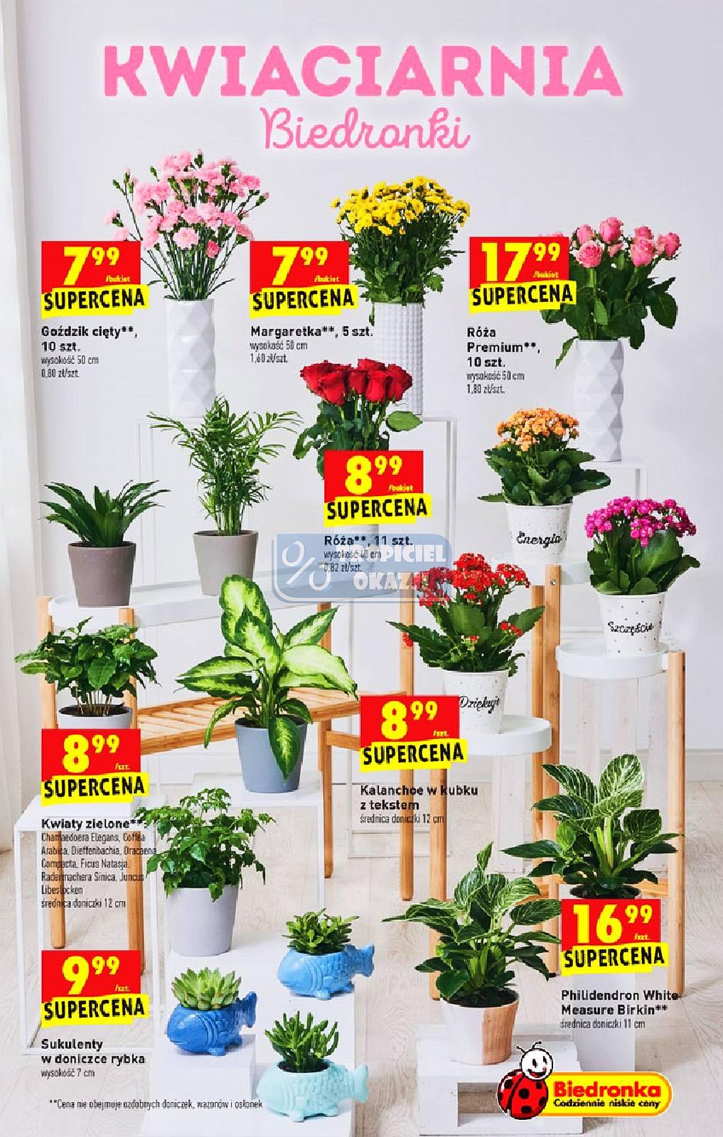 Gazetka promocyjna Biedronka str. 11