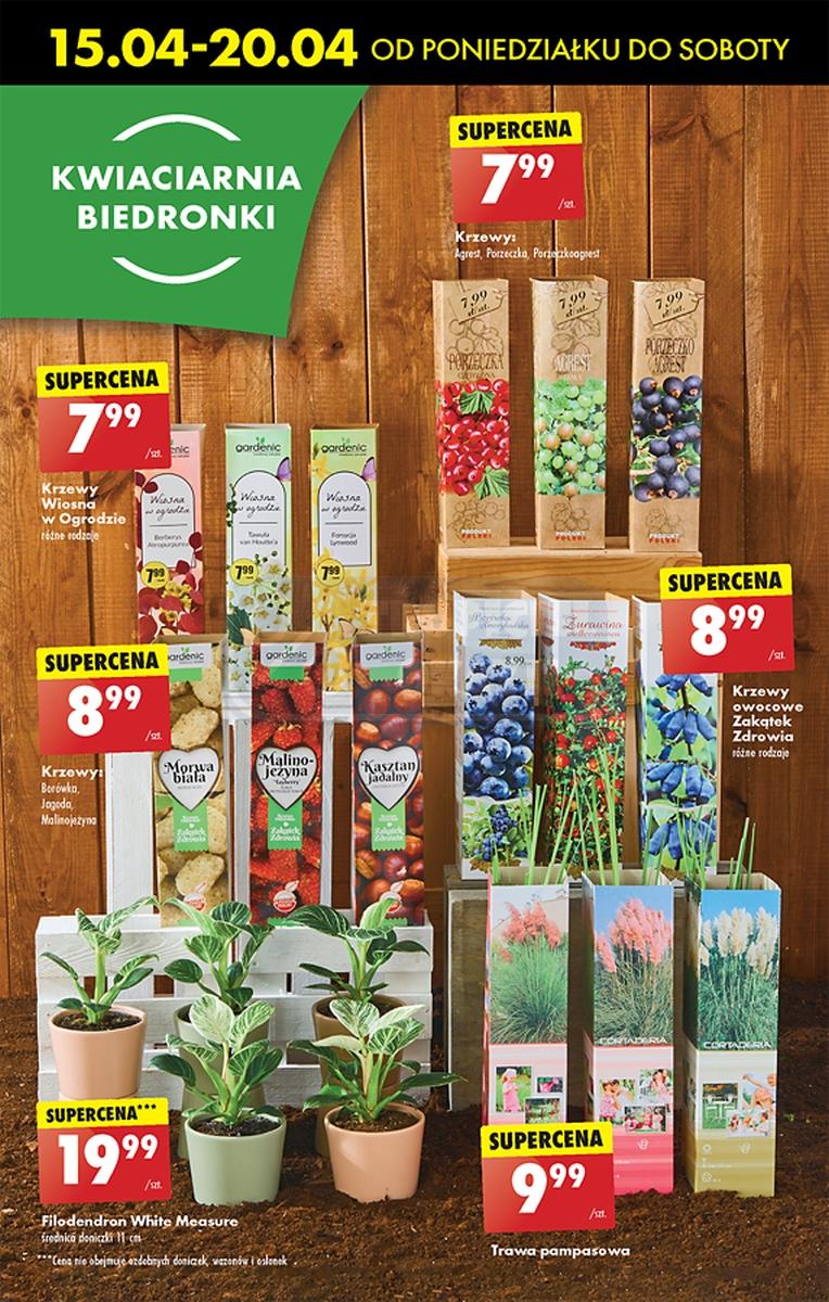 Gazetka promocyjna Biedronka str. 55