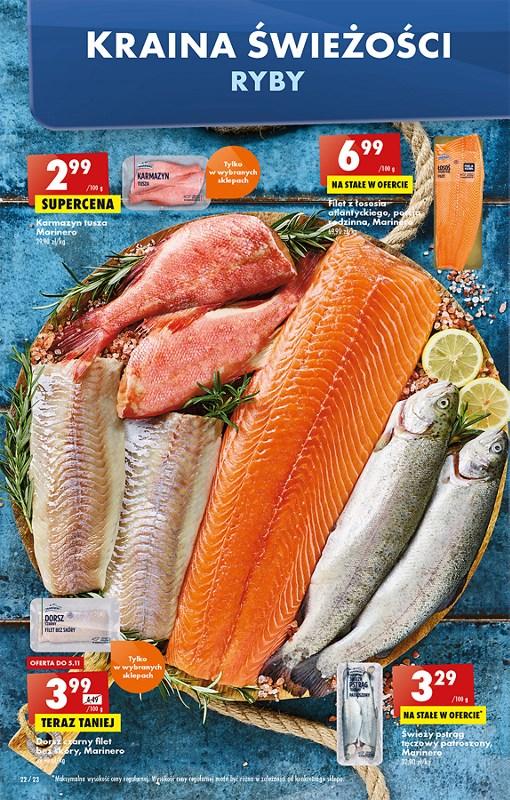 Gazetka promocyjna Biedronka str. 22