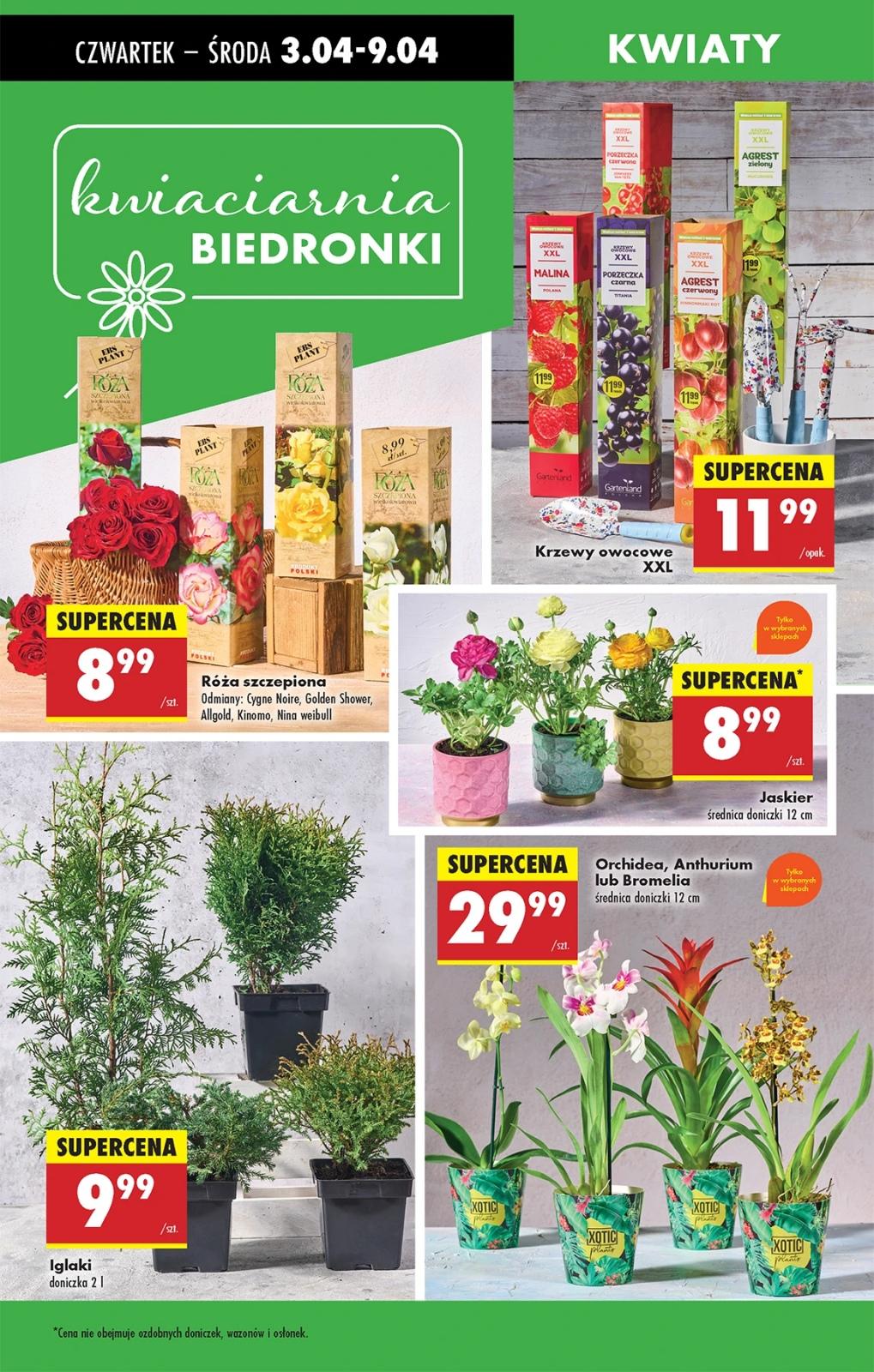 Gazetka promocyjna Biedronka str. 62