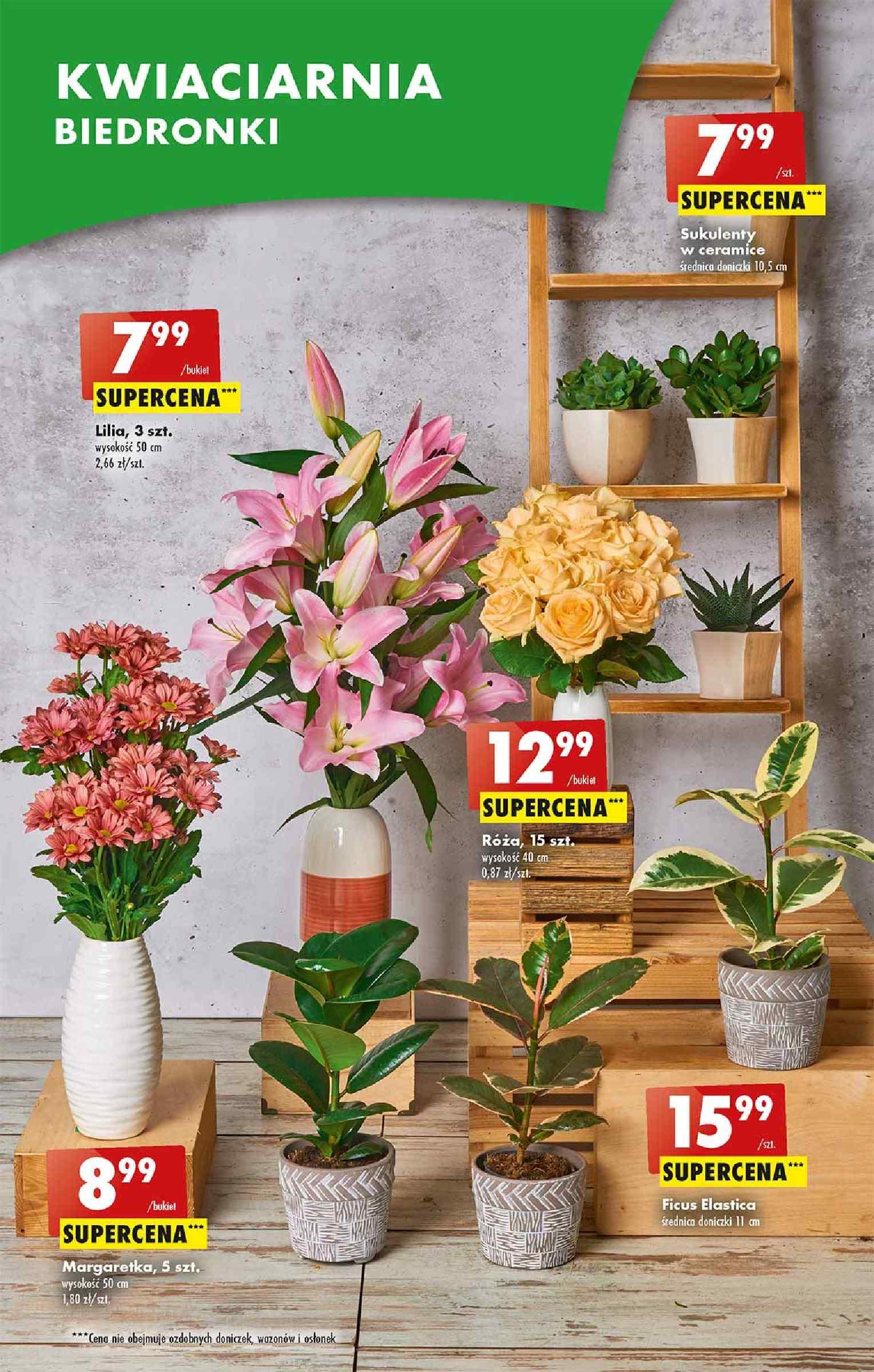 Gazetka promocyjna Biedronka str. 19