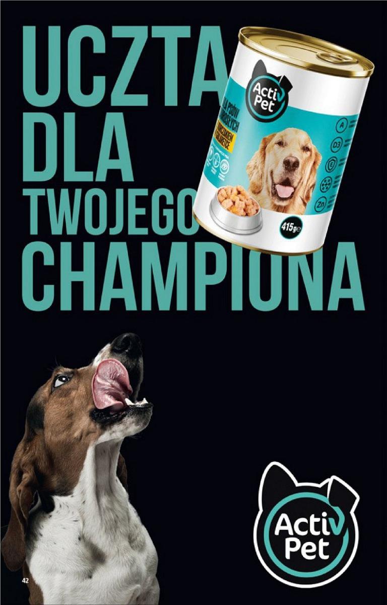 Gazetka promocyjna Biedronka str. 42