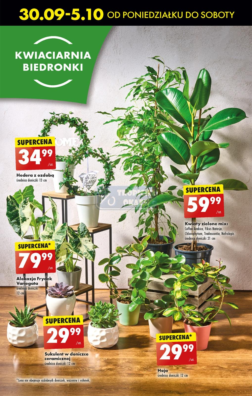 Gazetka promocyjna Biedronka str. 66