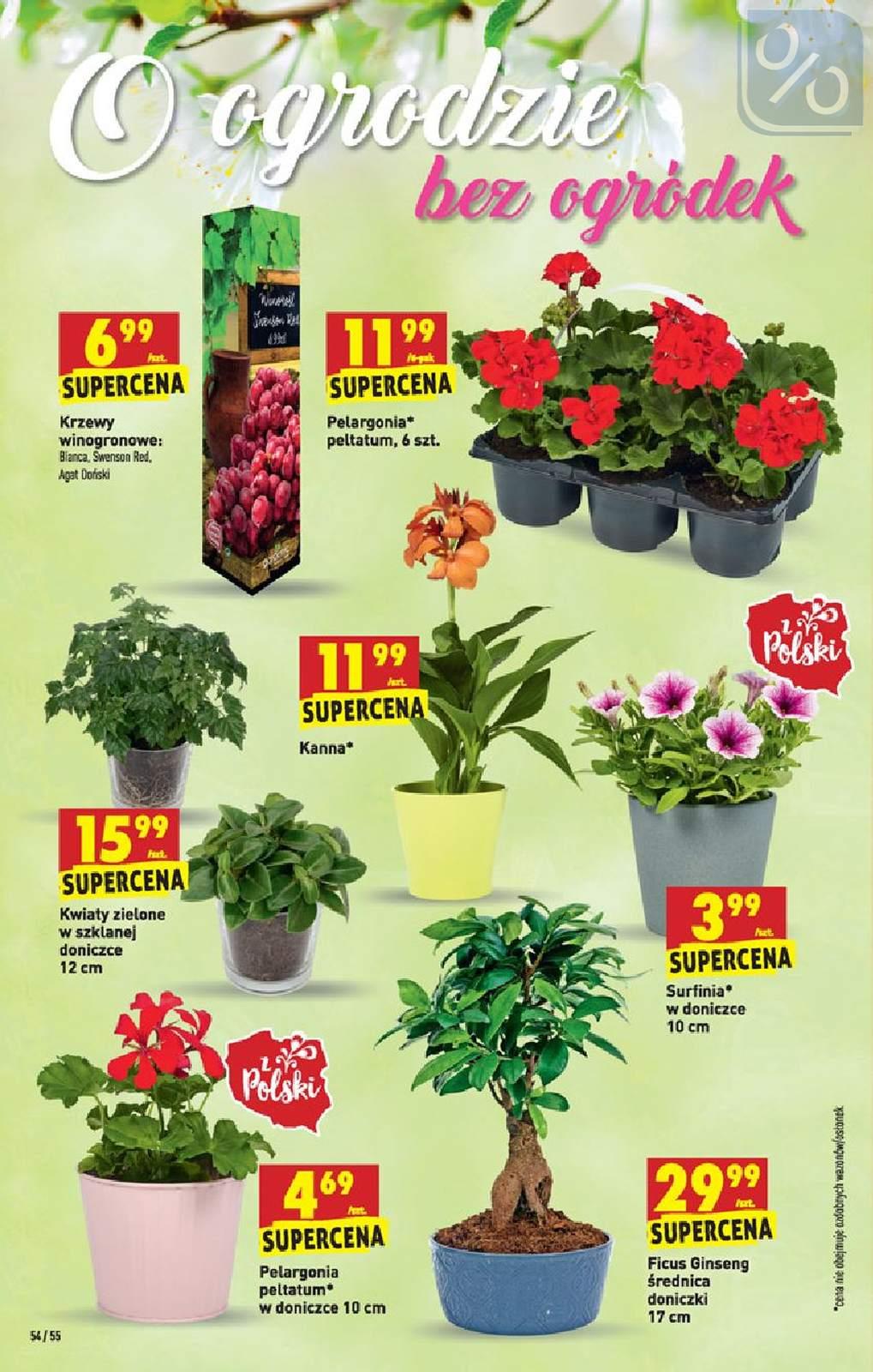 Gazetka promocyjna Biedronka str. 54