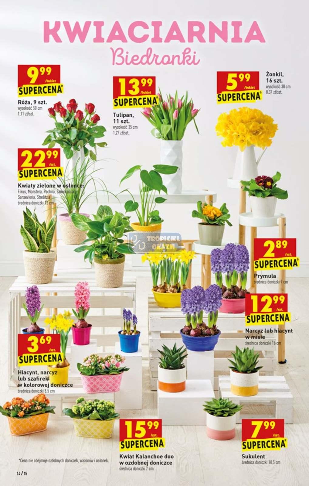 Gazetka promocyjna Biedronka str. 14