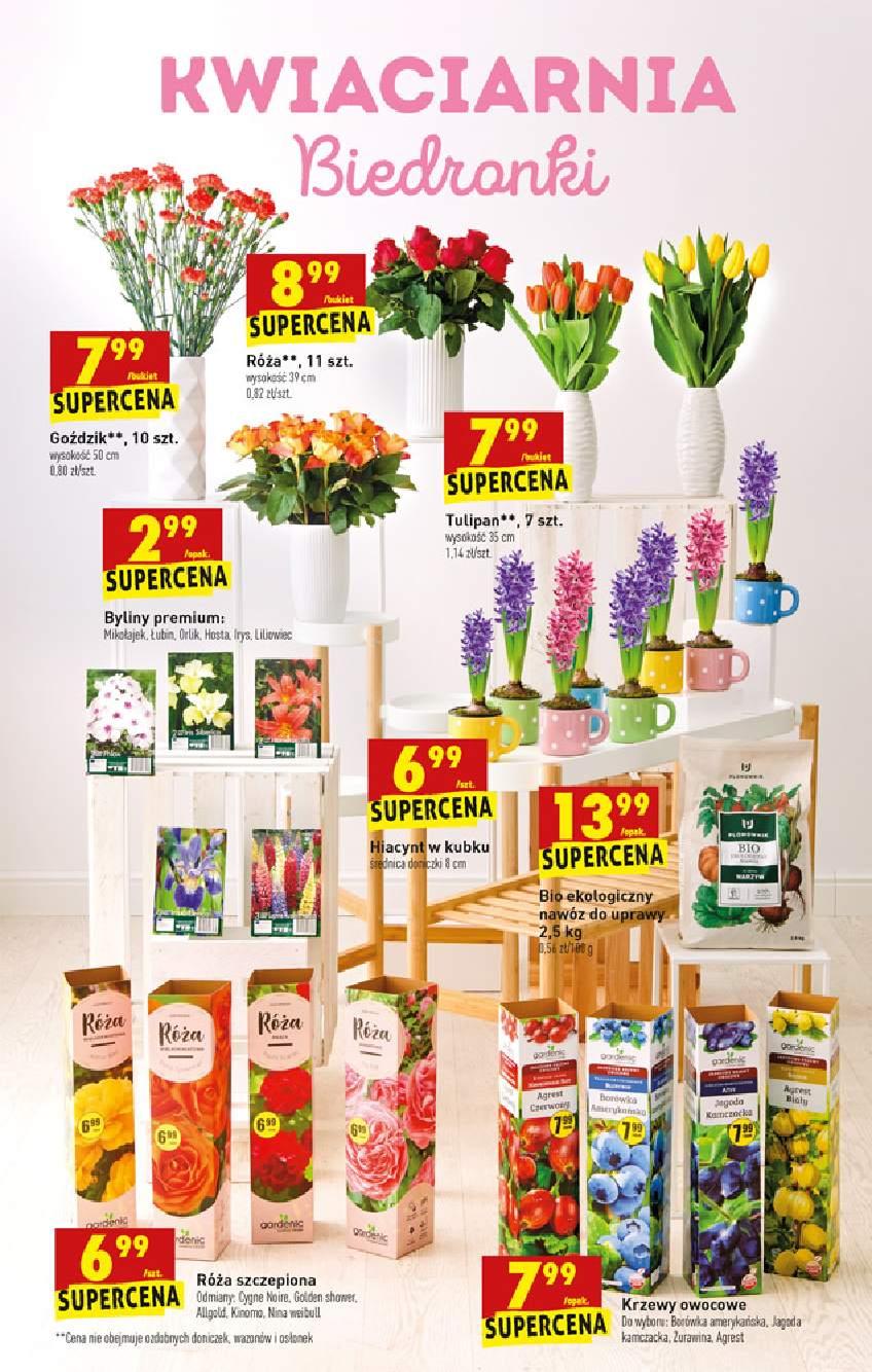 Gazetka promocyjna Biedronka str. 53