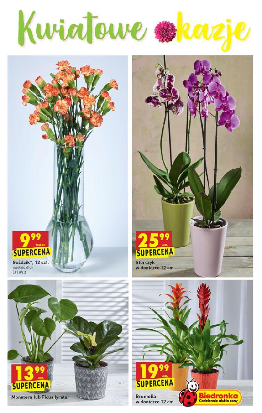 Gazetka promocyjna Biedronka str. 63