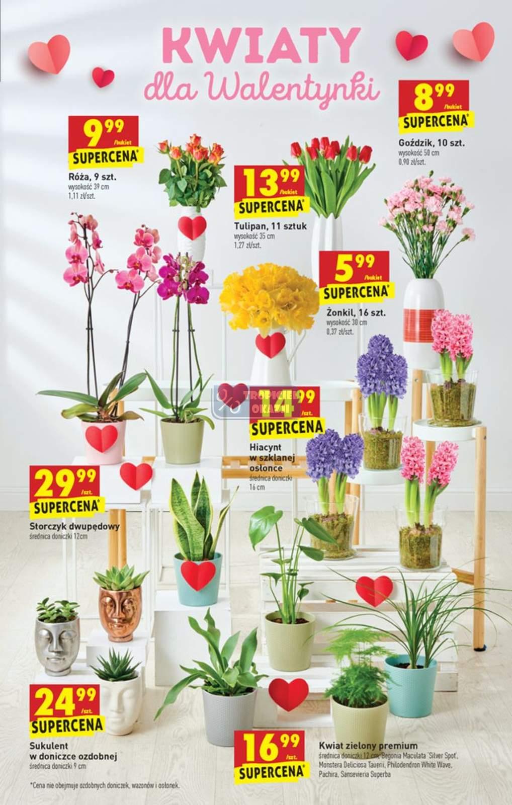 Gazetka promocyjna Biedronka str. 11