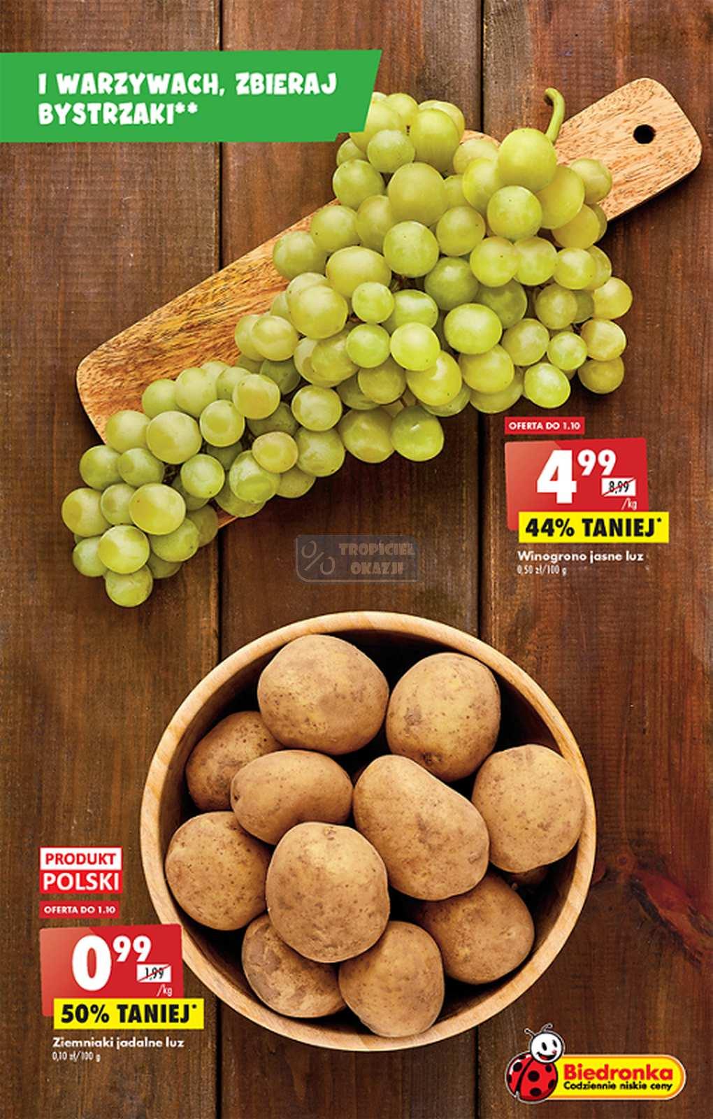 Gazetka promocyjna Biedronka str. 13