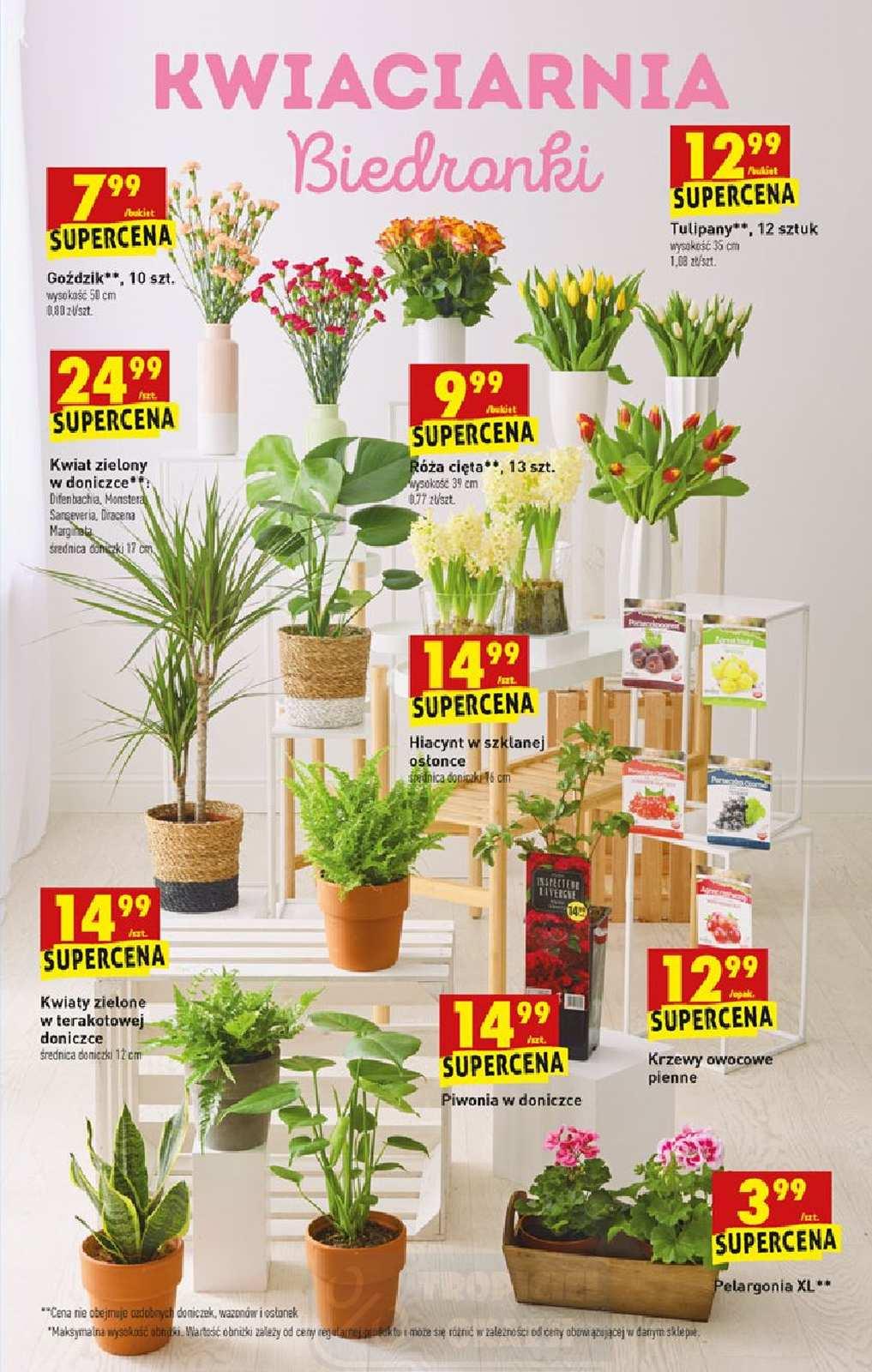 Gazetka promocyjna Biedronka str. 53