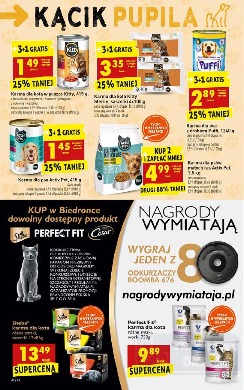 Gazetka promocyjna Biedronka str. 42