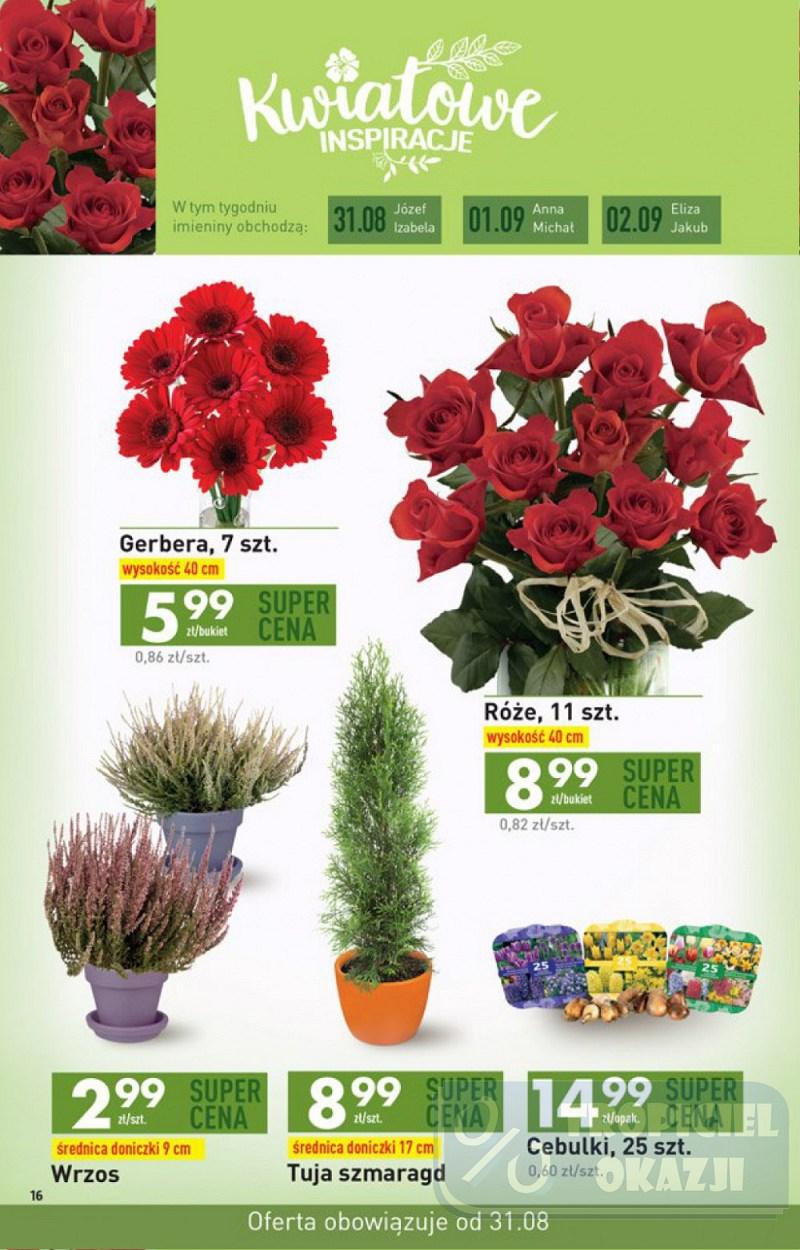 Gazetka promocyjna Biedronka str. 16