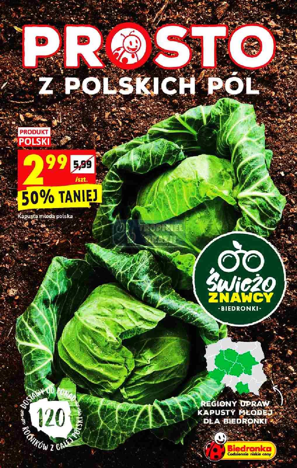 Gazetka promocyjna Biedronka str. 9