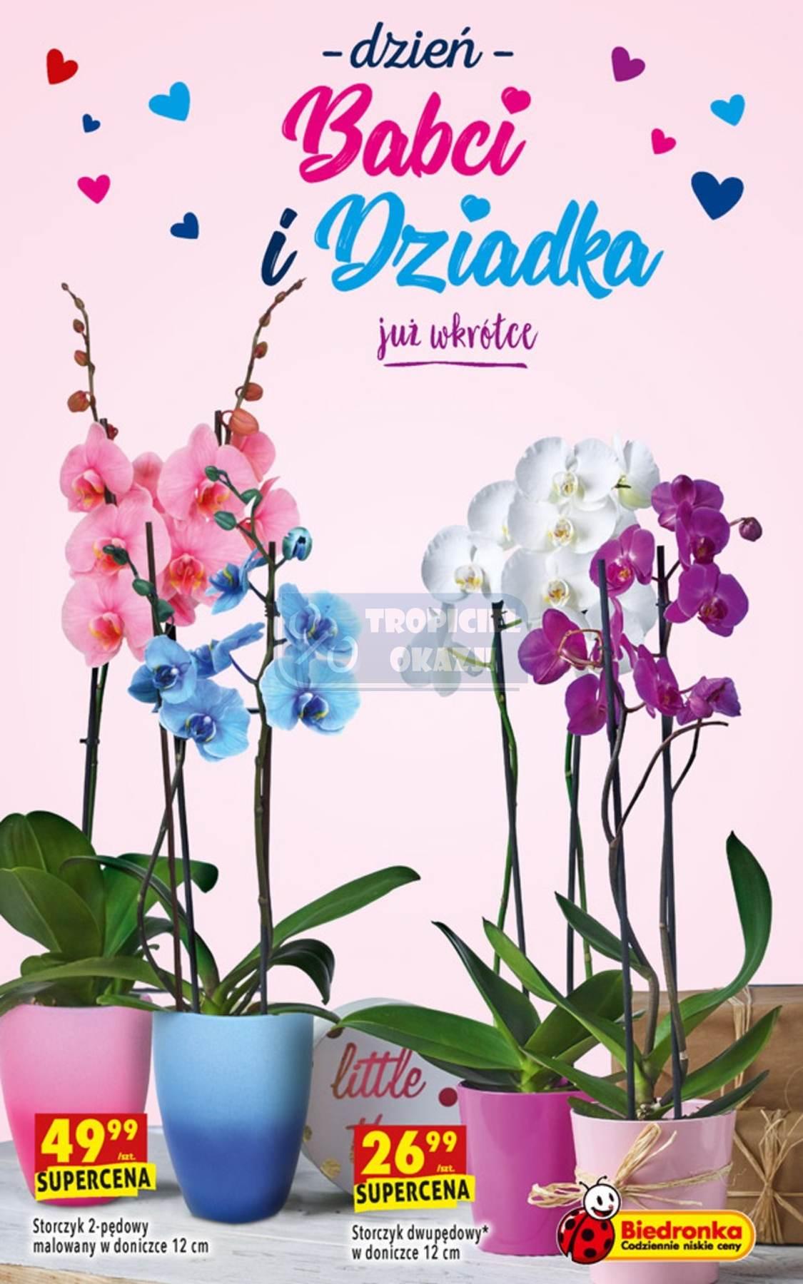 Gazetka promocyjna Biedronka str. 63