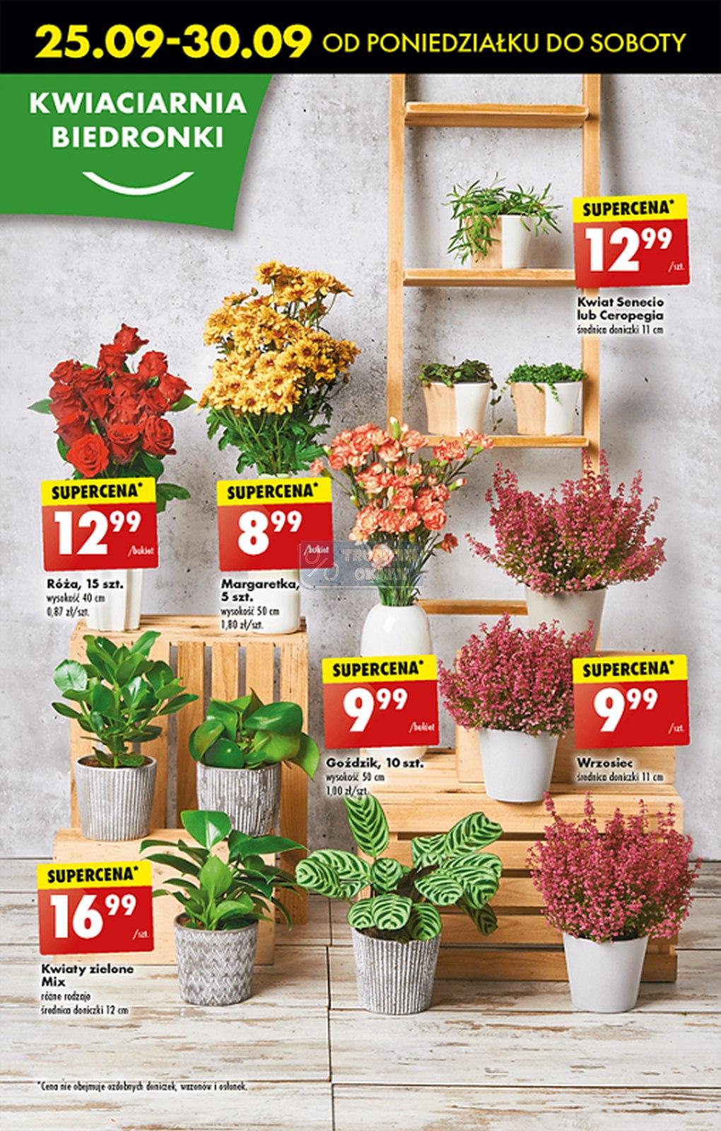 Gazetka promocyjna Biedronka str. 49