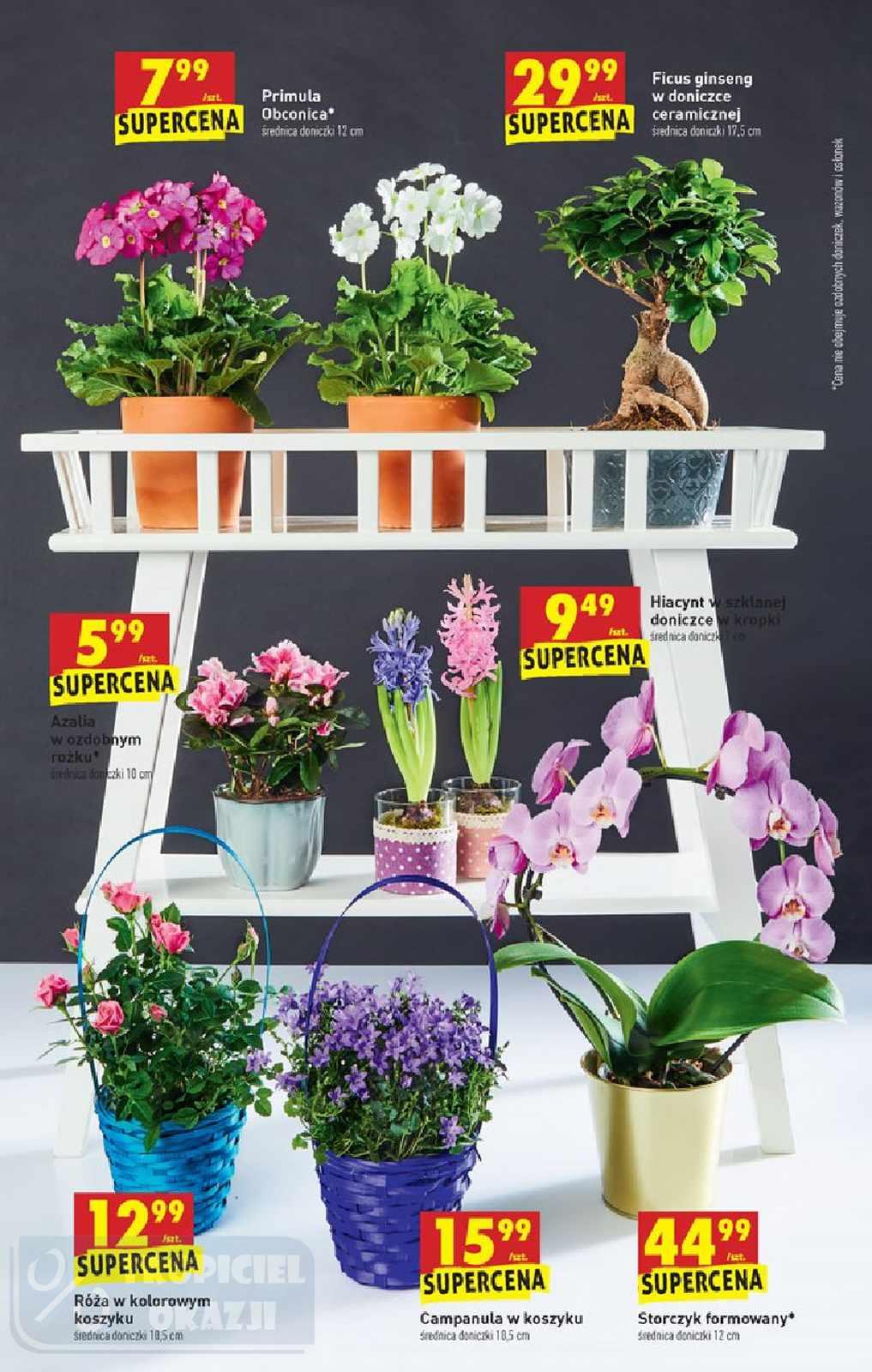 Gazetka promocyjna Biedronka str. 63