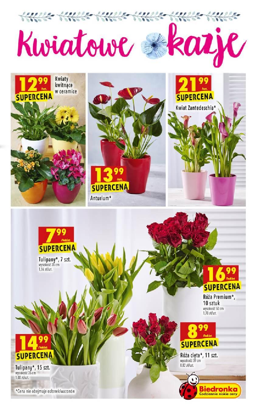 Gazetka promocyjna Biedronka str. 43