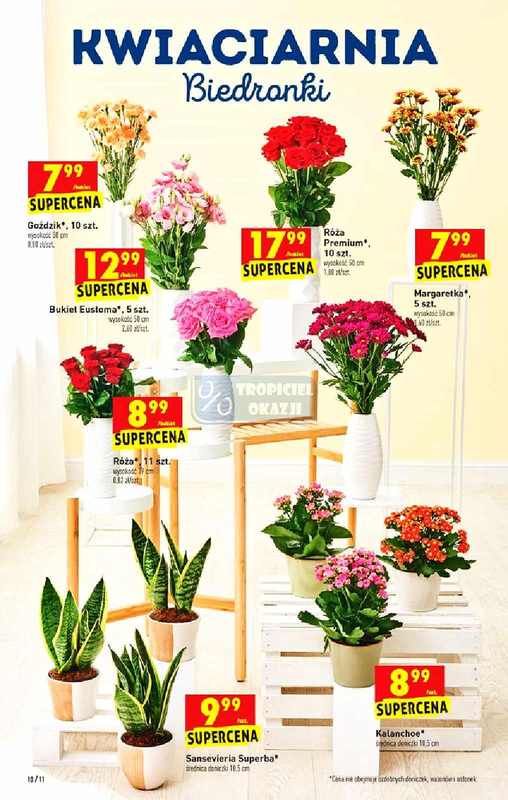 Gazetka promocyjna Biedronka str. 10