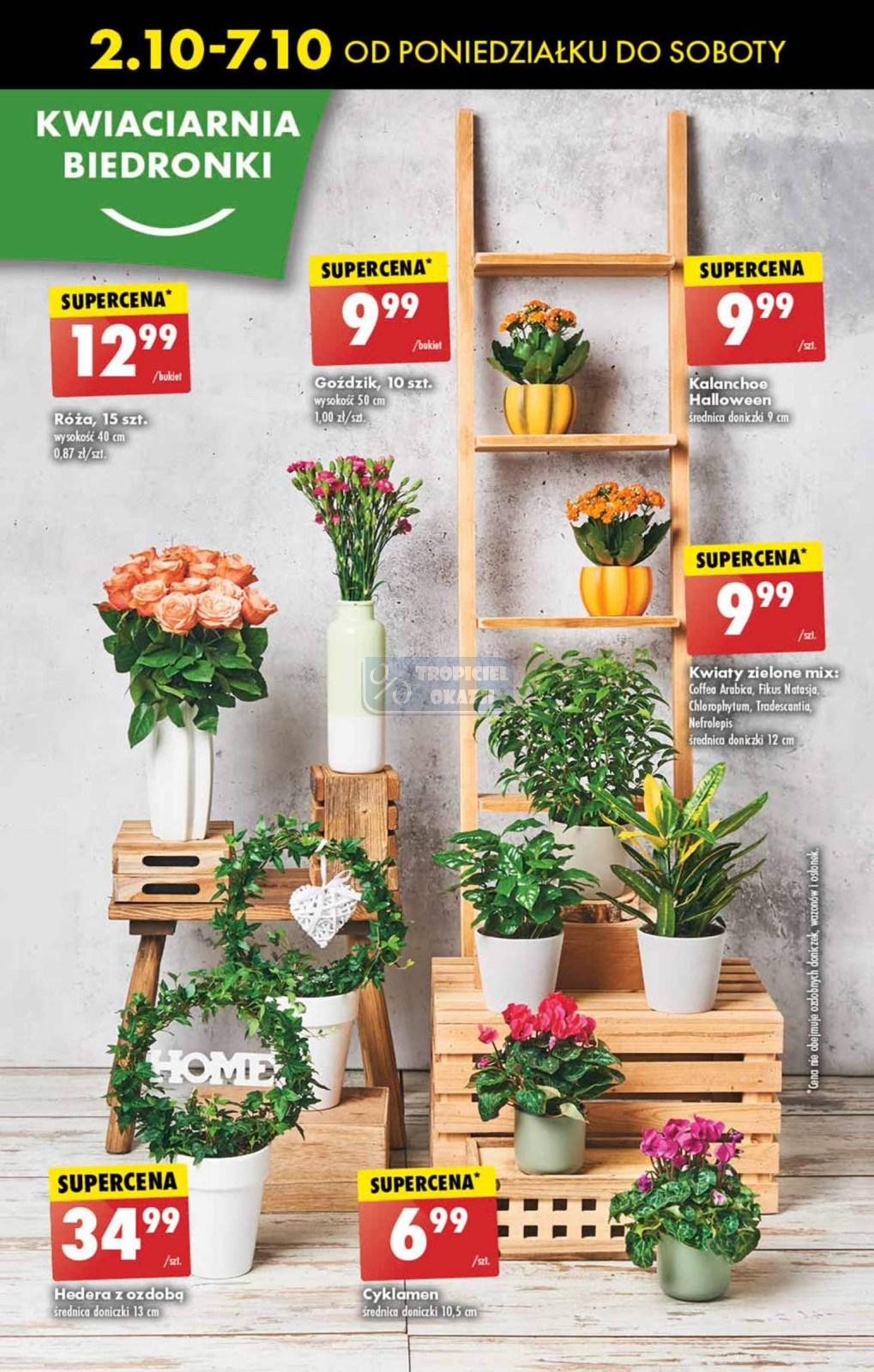 Gazetka promocyjna Biedronka str. 51