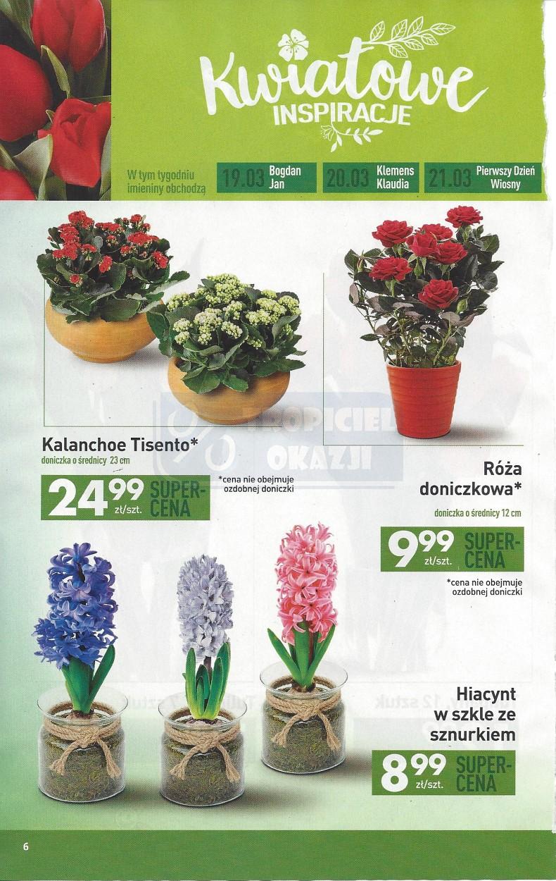 Gazetka promocyjna Biedronka str. 6